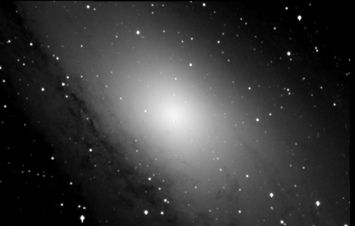 M31