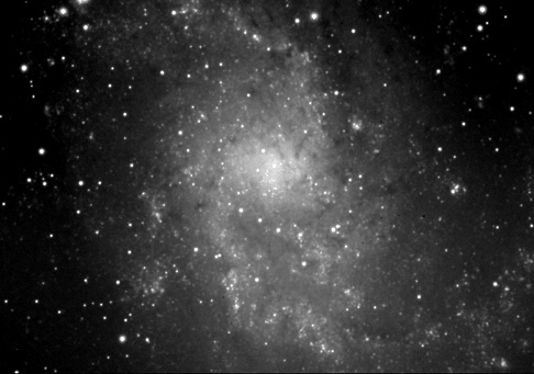 M33