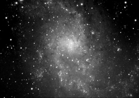 M33